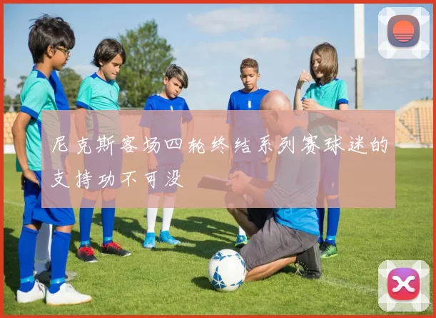 尼克斯客场四轮终结系列赛球迷的支持功不可没