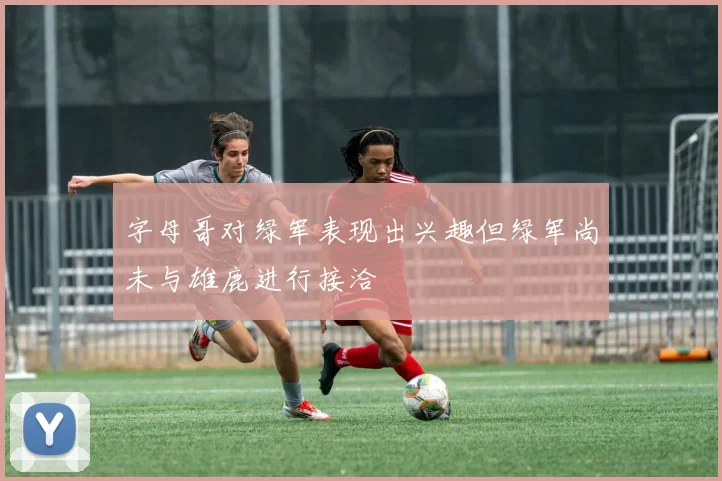 字母哥对绿军表现出兴趣但绿军尚未与雄鹿进行接洽